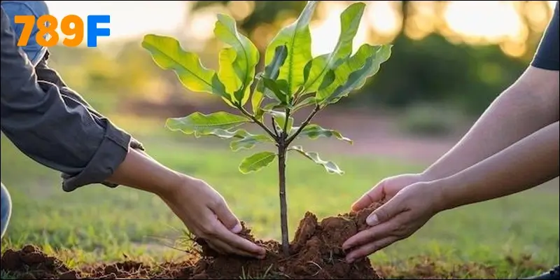 Cách Chơi Vietlott, Hướng Dẫn Đầy Đủ Và Chi Tiết 2 789F - cầu nối giữa tấm lòng hảo tâm và những mảnh đời khó khăn