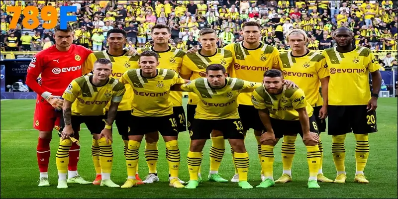 Câu lạc bộ Bóng đá Borussia Dortmund, Ngọn lửa nước Đức