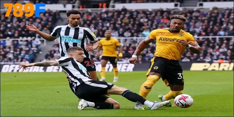 Arsenal vs Nottingham Forest 13/09/2025 18h30 - NHA vòng 4 2 Lịch sử đối đầu – Cán cân nghiêng về Newcastle