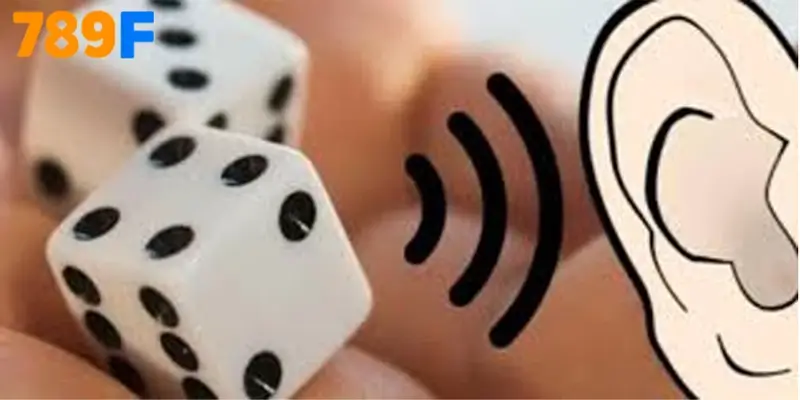 Top 5 Casino Việt Nam Hút Hồn Bet Thủ 2025 1 Nghe hột tài xỉu là gì?
